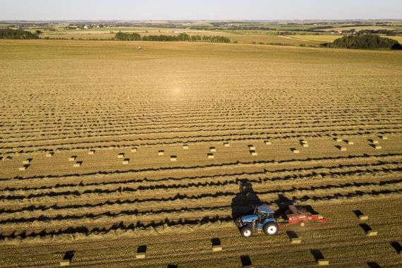 Un tracteur dans un champ agricole.